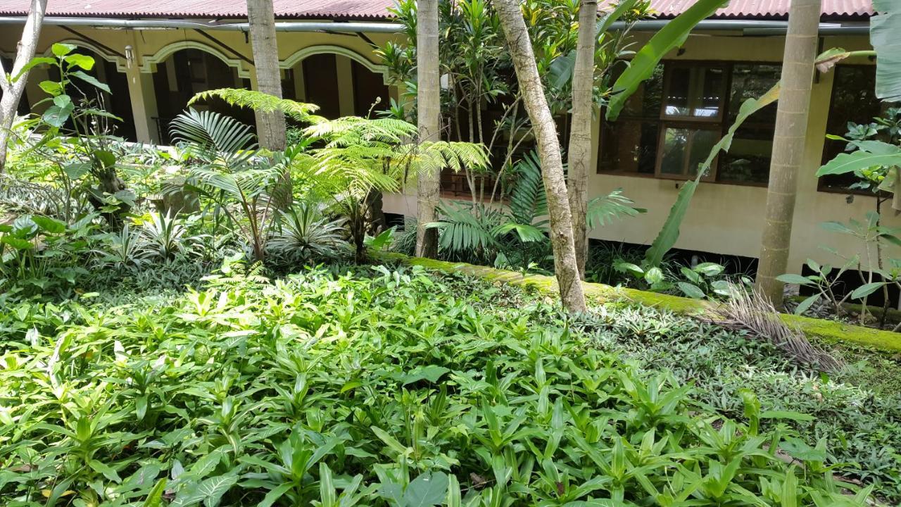 Centro Bajo Hotel & Resto Labuan Bajo Bilik gambar